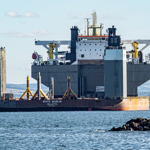 White-Marlin-and-Valaris Gorilla VII-2021-10-04-11