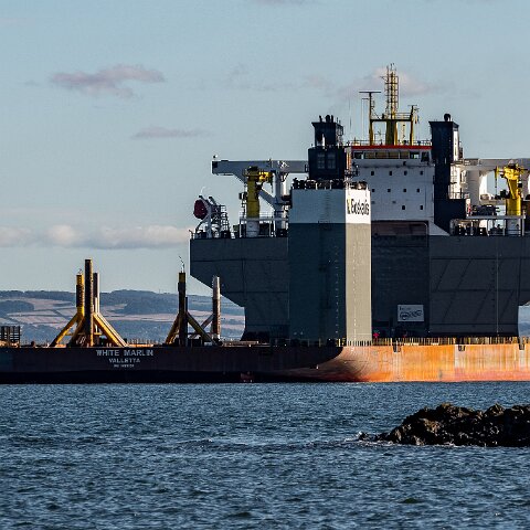 White-Marlin-and-Valaris Gorilla VII-2021-10-04-12