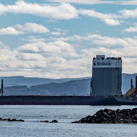 White-Marlin-and-Valaris Gorilla VII-2021-10-04-13