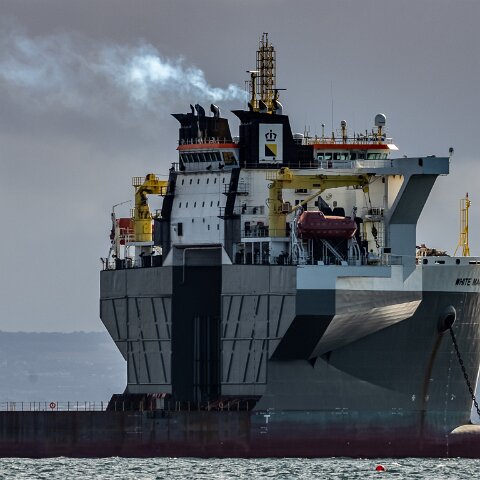 White-Marlin-and-Valaris Gorilla VII-2021-10-04-2