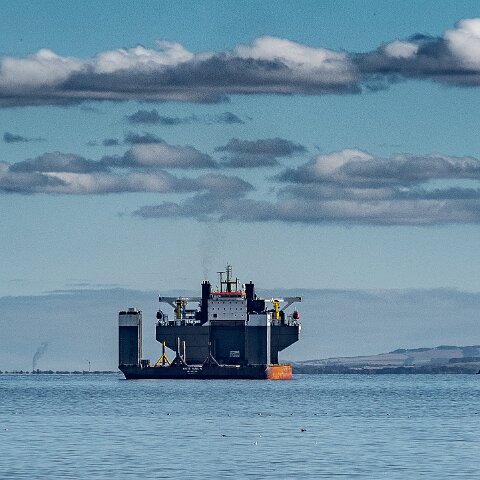 White-Marlin-and-Valaris Gorilla VII-2021-10-04-4