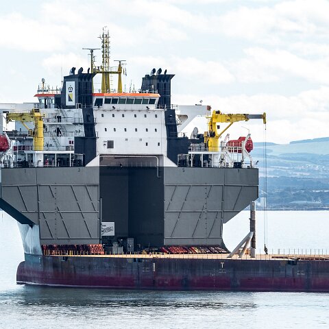 White-Marlin-and-Valaris Gorilla VII-2021-10-04-7