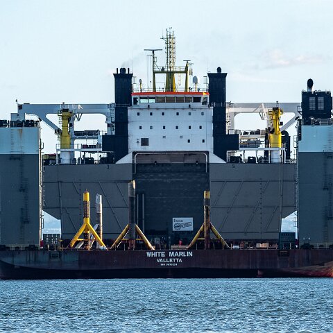 White-Marlin-and-Valaris Gorilla VII-2021-10-04-9