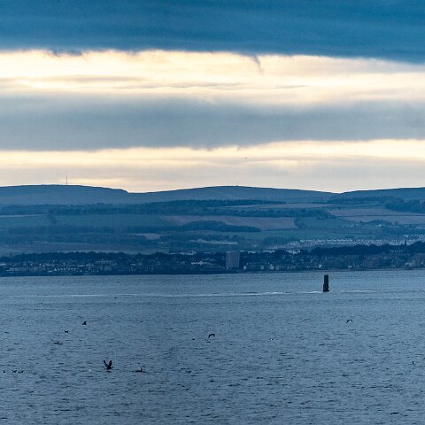 White-Marlin-and-Valaris Gorilla VII-2021-10-23-2