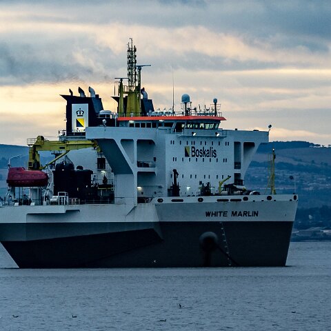 White-Marlin-and-Valaris Gorilla VII-2021-10-23-3