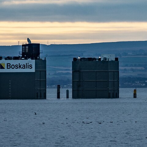 White-Marlin-and-Valaris Gorilla VII-2021-10-23-4