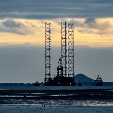 White-Marlin-and-Valaris Gorilla VII-2021-10-23-5