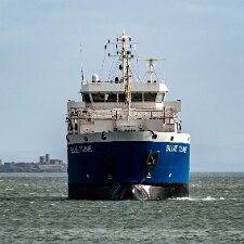 Cargo Ships