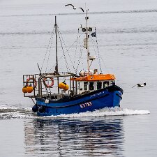 Fishing Boats