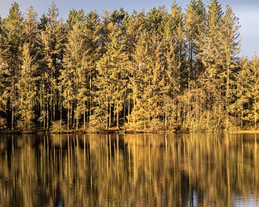 Beecraigs Country Park-6C