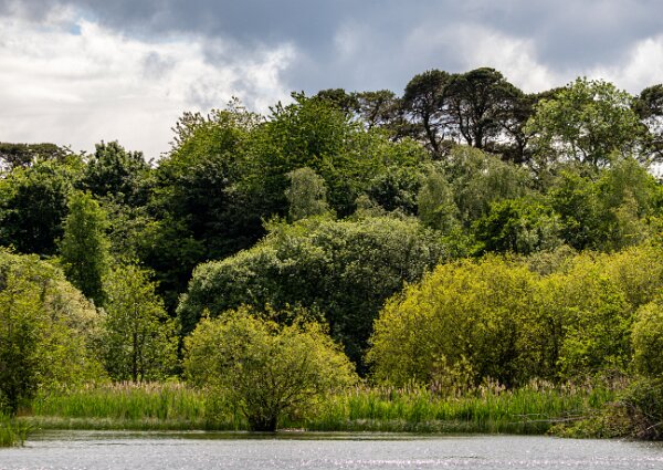 Birnie-and-Gaddon-Lochs