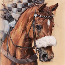 Equine Artist - Emily Johnson https://www.emilyjohnsonfineart.co.uk/ - Hopefully you like my equine photographs and may have one that it is your...