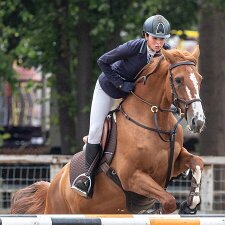 Horse Shows Horse Shows and other general events which have a strong equestrian presence.