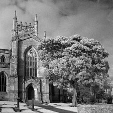 Infrared Infrared photography creates great effects. With the camera set for Black & White photography, green foliage turns white...