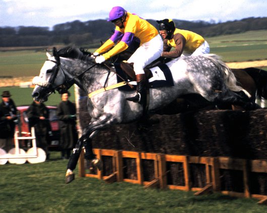Fife-Point-To-Point-11