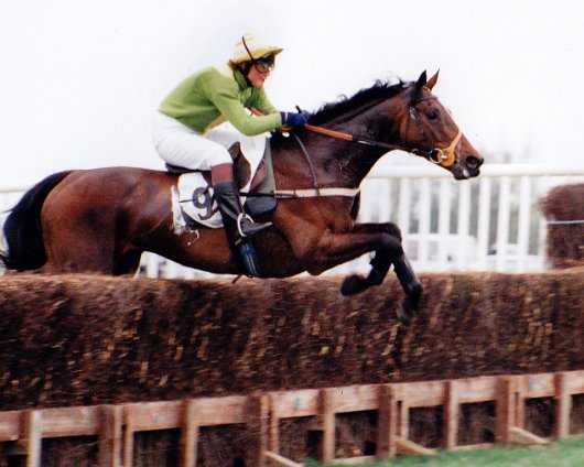 Fife-Point-To-Point-3