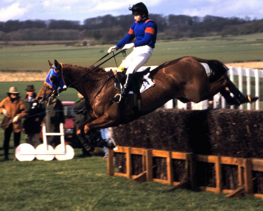 Fife-Point-To-Point-6