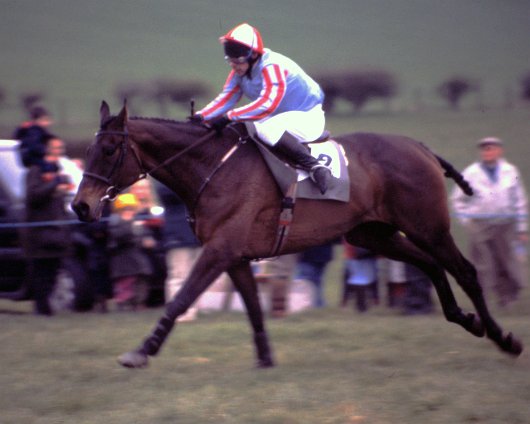 Fife-Point-To-Point-8