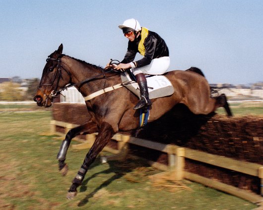 Kelso-Point-To-Point-6