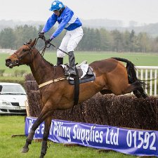 2014 Balcormo Mains Fife Point To Point 2014-Fife Point to Point. The UK's most Northerly Point-to-Point meeting and the only opportunity to enjoy a days horse...