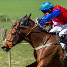 2015 Balcormo Mains Fife Point To Point 2015-Fife Point to Point. The UK's most Northerly Point-to-Point meeting and the only opportunity to enjoy a days horse...