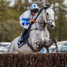 2016 Balcormo Mains Fife Point To Point 2016-Fife Point to Point. The UK's most Northerly Point-to-Point meeting and the only opportunity to enjoy a days horse...