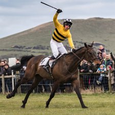 2017 Balcormo Mains Fife Point To Point 2017-Fife Point to Point. The UK's most Northerly Point-to-Point meeting and the only opportunity to enjoy a days horse...