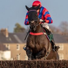 2019 Friars Haugh 2019-Friars Haugh Races is is the home of Point-to-Point steeplechase racing held by The Jedforest The Duke of Buccleuch...