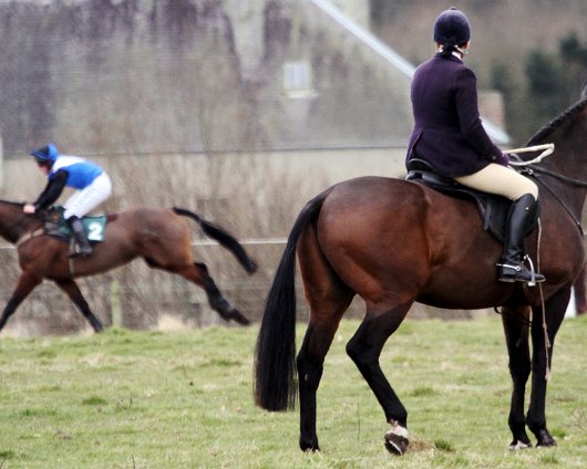 2013-03-30-Friarrs-Haugh-Kelso-Point-To-Point-33