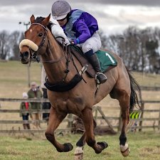 Alnwick Races Point To Point Alnwick Races, home of The Ratcheugh Racing Club The West Percy Hunt The Percy Hunt and The College Valley and North,...