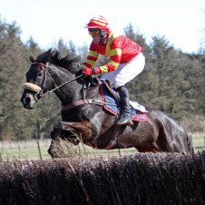 Dalston Point To Point The Cumberland Farmers point-to-point fixture takes place at Dalston, near Carlisle.