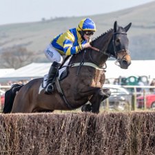 Balcormo Mains Fife Point To Point Fife Point to Point. The UK's most Northerly Point-to-Point meeting and the only opportunity to enjoy a days horse...