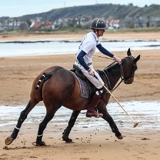 Polo at Elie Beach. Polo matches at on the beach at Elie.
