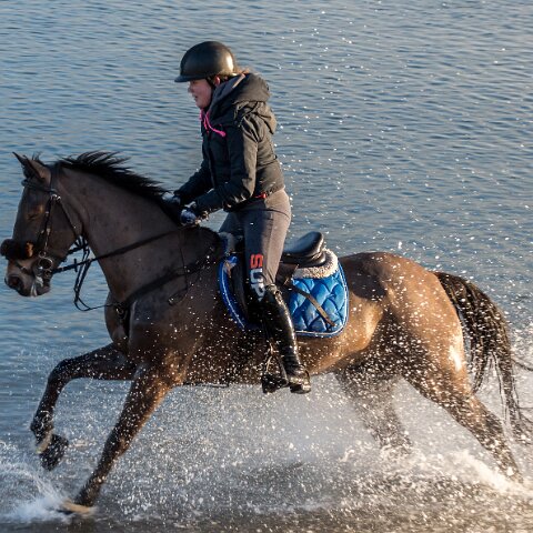Burntisland-Horse-Riding-4