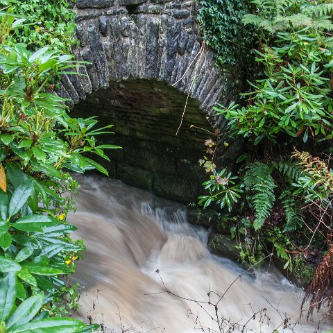 Pittencrief-Park-Bridge (3)