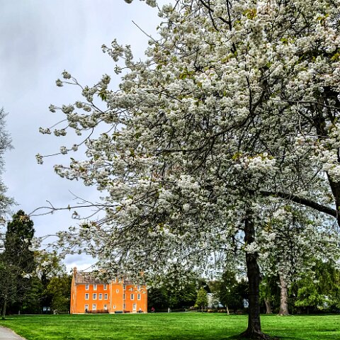 Pittencrieff-House-Museum-0 (2)