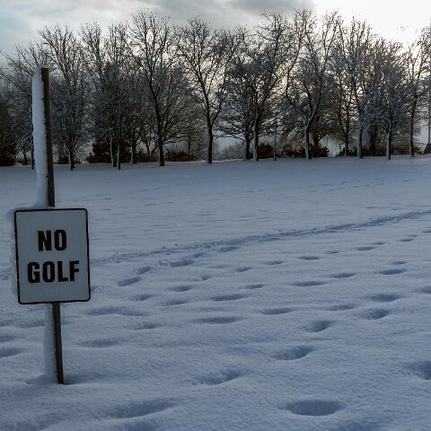 Dunfermline-Public-Park-1