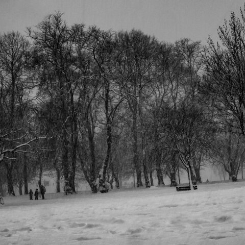 Dunfermline-Public-Park-16