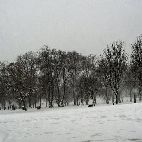 Dunfermline-Public-Park-17