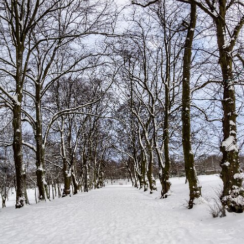 Dunfermline-Public-Park-18