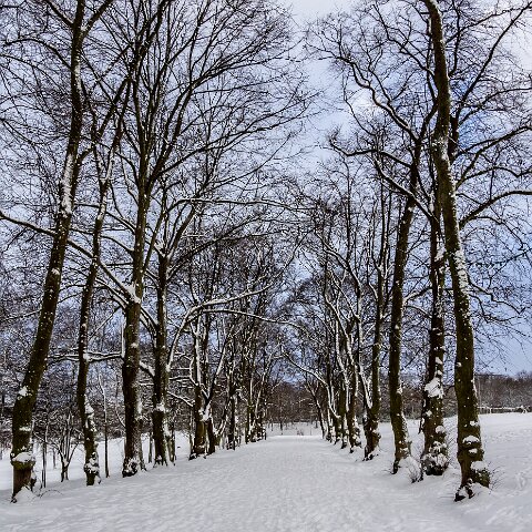 Dunfermline-Public-Park-19