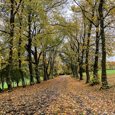 Dunfermline-Public-Park-2