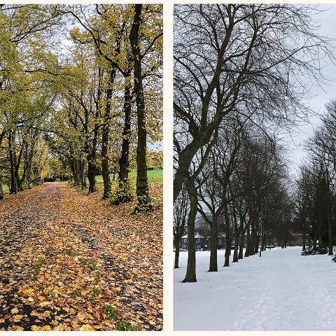 Dunfermline-Public-Park-2A