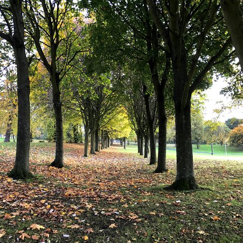 Dunfermline-Public-Park-2B