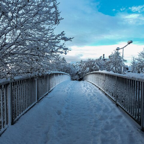 Dunfermline-Public-Park-5
