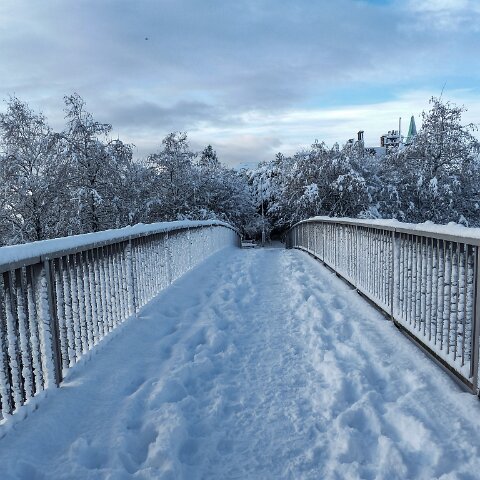 Dunfermline-Public-Park-6