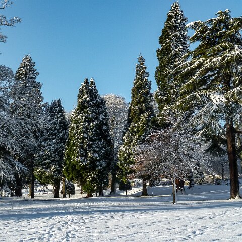 Dunfermline-Public-Park-7