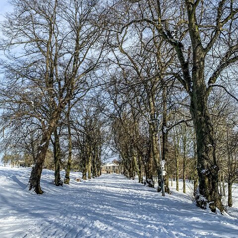 Dunfermline-Public-Park-9
