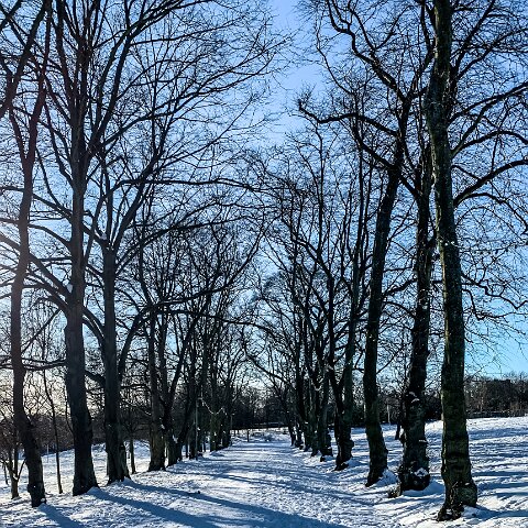 Dunfermline-Public-Park-9A