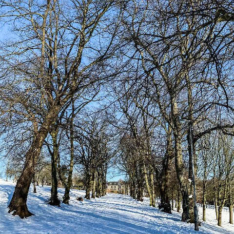 Dunfermline-Public-Park-9b